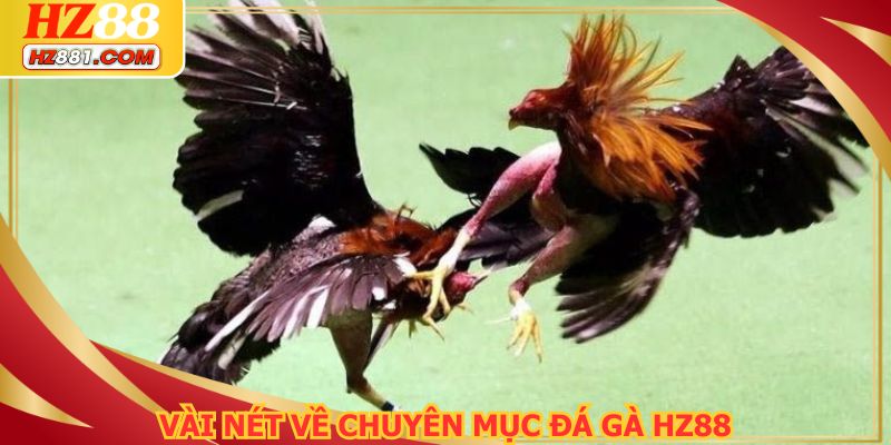 Đá gà HZ88 được tổ chức với sân chơi chuyên nghiệp nhất